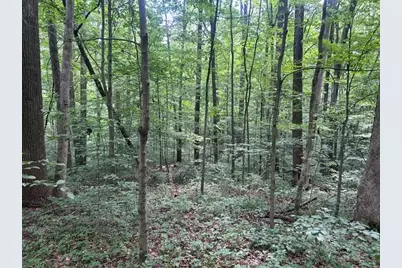 24229 Sanes Creek Road, Laurel, IN 47024 - Photo 35