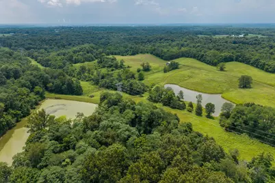 11315 Harlow Road, Bennington, IN 47011 - Photo 39