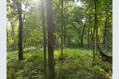 0 1 Sand Ridge Road, Patriot, IN 47038 - Photo 13