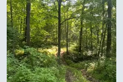 0 1 Sand Ridge Road, Patriot, IN 47038 - Photo 7