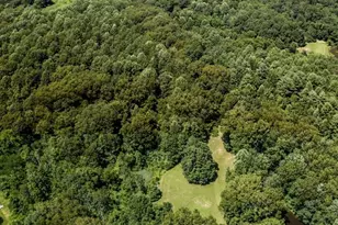 20115 Walnut Fork Rd, Metamora, IN 47030 - Photo 3