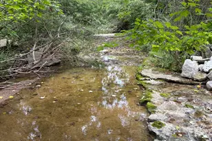 20115 Walnut Fork Rd, Metamora, IN 47030 - Photo 11