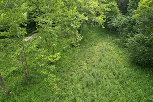 171 W County Rd 800 S, Madison, IN 47250 - Photo 13
