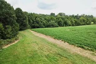 10389 Henry Ford Rd, Bennington, IN 47011 - Photo 37