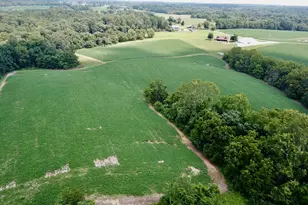 10389 Henry Ford Rd, Bennington, IN 47011 - Photo 39