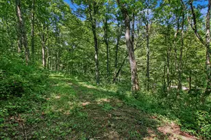 0 Bascom Corner Rd, Rising Sun, IN 47040 - Photo 19