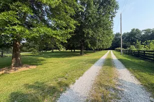 12677 State Road 156, Florence, IN 47020 - Photo 83