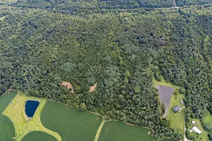 14924 W Brown Rd, Moores Hill, IN 47032 - Photo 9