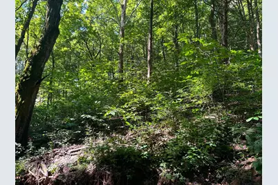 2889 E State Road 56, Vevay, IN 47043 - Photo 35