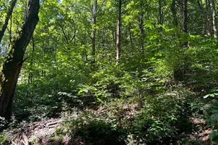 2889 E State Road 56, Vevay, IN 47043 - Photo 35