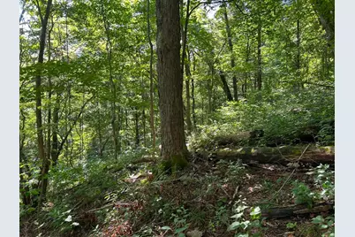 2889 E State Road 56, Vevay, IN 47043 - Photo 37