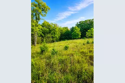 0 Bursot Road, Vevay, IN 47043 - Photo 3