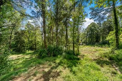19300 State Rd 156, Patriot, IN 47038 - Photo 11