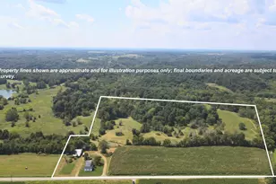 10401 Bennington Pike, Vevay, IN 47043 - Photo 3
