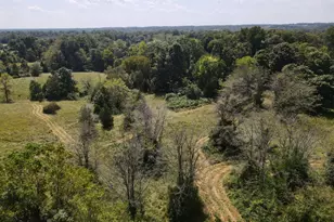 10401 Bennington Pike, Vevay, IN 47043 - Photo 5