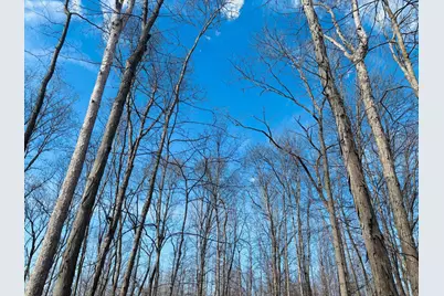 1 Snail Creek Road, Brookville, IN 47012 - Photo 11