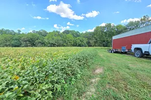 9099 Pipe Creek Rd, Metamora, IN 47030 - Photo 3