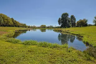 22078 Ester Ridge Rd, Sunman, IN 47041 - Photo 49