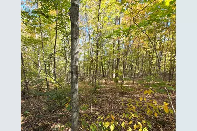 0 Williams Retreat Road, West Harrison, IN 47060 - Photo 13