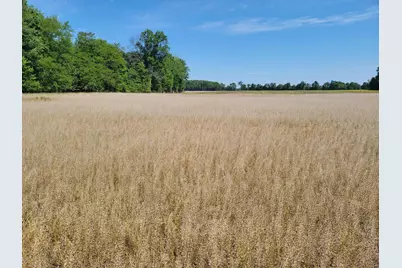 0 Sr 350, Milan, IN 47031 - Photo 5