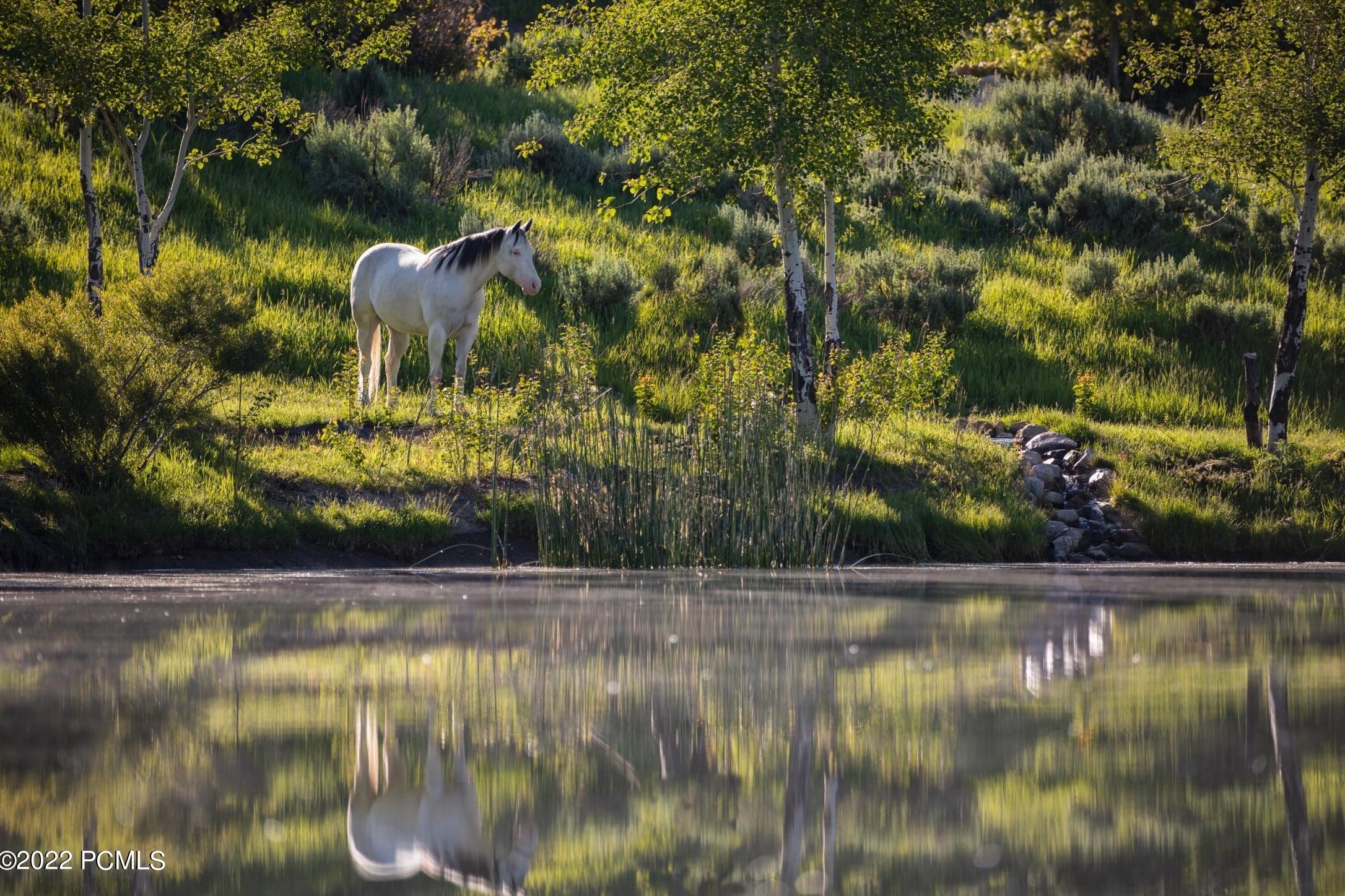 385 Goshawk Rnch Rd, Park City, UT 84098