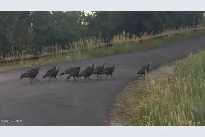 9693 N Red Hawk Trail, Park City, UT 84098 - Photo 25