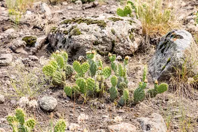 2121 E Flat Top Mountain Drive, Heber City, UT 84032 - Photo 63