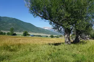 1570 W Main Canyon Rd, Wallsburg, UT 84082 - Photo 15