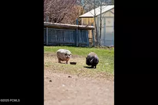 29706 Old Lincoln Hwy, Wanship, UT 84017 - Photo 49