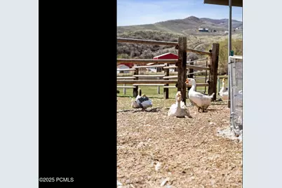 29706 Old Lincoln Highway, Wanship, UT 84017 - Photo 37