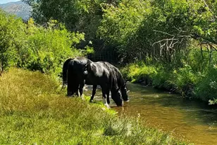 29706 Old Lincoln Hwy, Wanship, UT 84017 - Photo 51