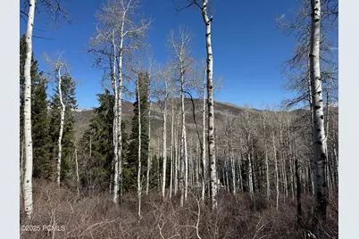 663 Red Fir Way, Oakley, UT 84055 - Photo 7