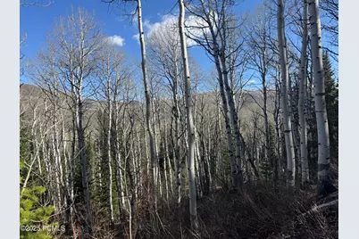 663 Red Fir Way, Oakley, UT 84055 - Photo 3