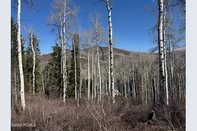 663 Red Fir Way, Oakley, UT 84055 - Photo 5