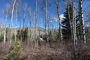 663 Red Fir Way, Oakley, UT 84055 - Photo 1