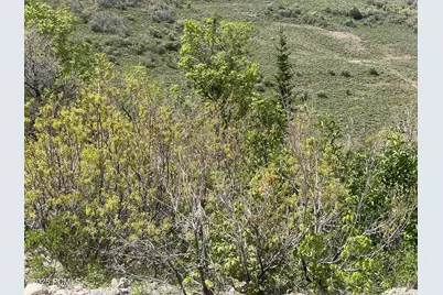 5012 S Sheep Dog Trail, Woodland Hills, UT 84036 - Photo 9