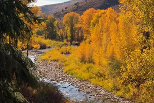 2485 E Weber Wild Rd, Oakley, UT 84055 - Photo 57