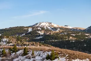 1310 Mellow Mountain Rd, Park City, UT 84060 - Photo 3