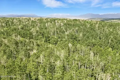 1555 N Wolf Creek Ranch Road, Kamas, UT 84036 - Photo 3