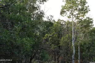 1747 S Beaver Bench Rd, Heber City, UT 84032 - Photo 1