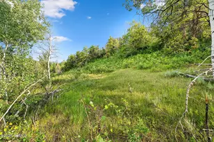 Tax Id 00-0008-2409, Heber City, UT 84032 - Photo 19