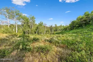 Tax Id 00-0008-2409, Heber City, UT 84032 - Photo 21