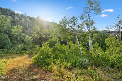 Tax Id 00-0008-2409, Heber City, UT 84032 - Photo 63