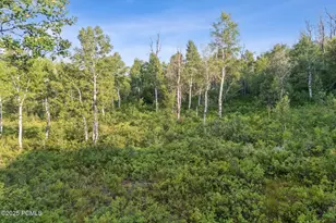 Tax Id 00-0008-2409, Heber City, UT 84032 - Photo 5