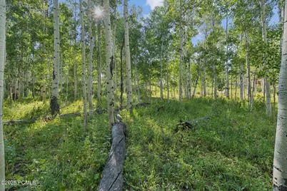 3949 Blue Spruce Drive, Heber City, UT 84032 - Photo 37