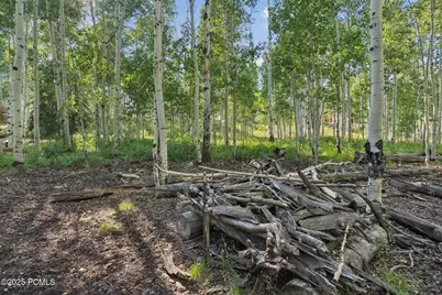 3949 Blue Spruce Drive, Heber City, UT 84032 - Photo 45