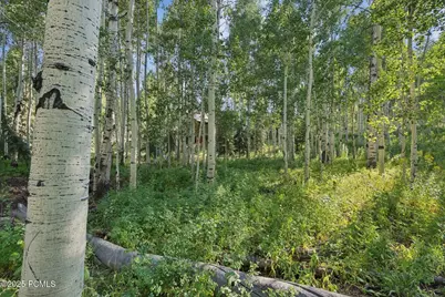 3949 Blue Spruce Drive, Heber City, UT 84032 - Photo 43