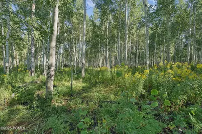 3949 Blue Spruce Drive, Heber City, UT 84032 - Photo 33