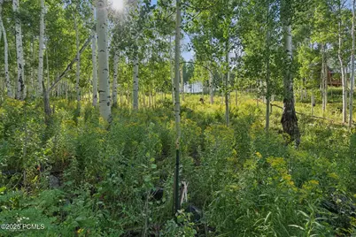 3949 Blue Spruce Drive, Heber City, UT 84032 - Photo 31