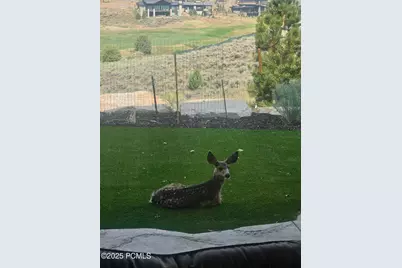 9080 N Uinta Drive, Kamas, UT 84036 - Photo 15